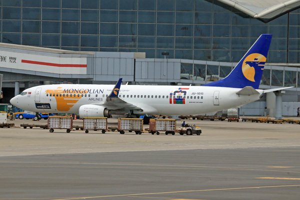 Join the Excitement: Your Guide to Experiencing Sheep Shearing Traditions in Wales